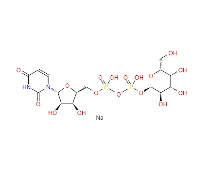 UDP-Α-D半乳糖二鈉鹽CAS: 137868-52-1
